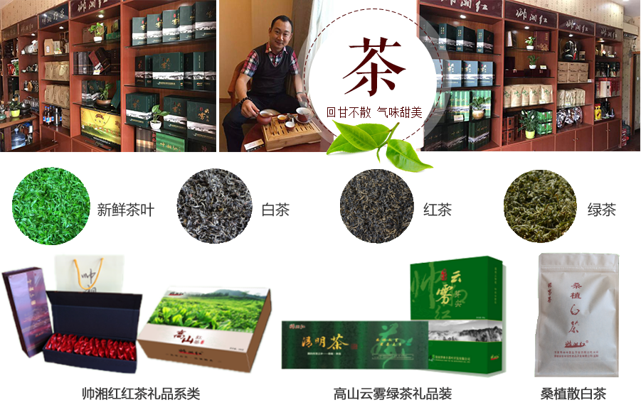 張家界林豐茶葉開(kāi)發(fā)有限公司,張家界茶葉開(kāi)發(fā),茶葉種植,桑植白茶加工,帥湘紅銷售