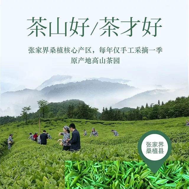 張家界林豐茶葉開(kāi)發(fā)有限公司,張家界茶葉開(kāi)發(fā),茶葉種植,桑植白茶加工,帥湘紅銷售