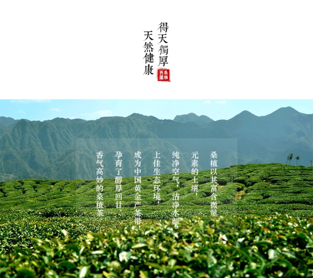 張家界林豐茶葉開發(fā)有限公司,張家界茶葉開發(fā),茶葉種植,桑植白茶加工,帥湘紅銷售